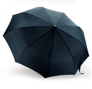 Automatic Folding Business Blue Umbrella