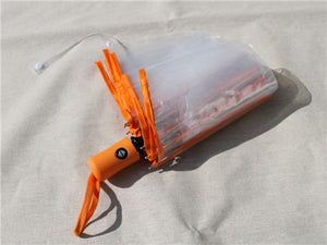 Ladies Transparent Folding Automatic Umbrellas