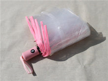Ladies Transparent Folding Automatic Umbrellas