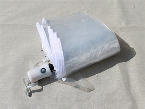 Ladies Transparent Folding Automatic Umbrellas