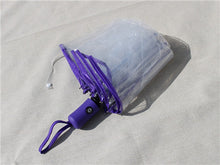 Ladies Transparent Folding Automatic Umbrellas
